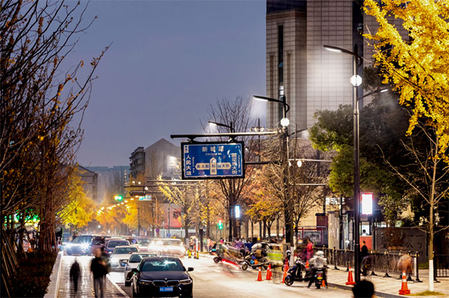 临平亚运场馆周边街区道路.jpg